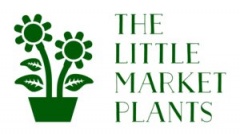 The little  market plants