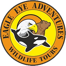 Eagle Eye Adventures