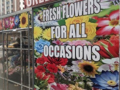 Manhattan Flower Shop New York