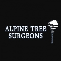 Alpine Tree Surgeons Guildford