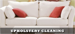 Squeaky Clean Sofa