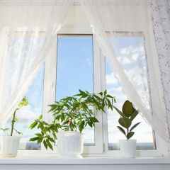Sunsational Window Coverings
