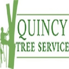 Quincy Tree Service