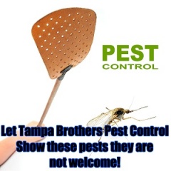 Tampa Brothers Pest Control