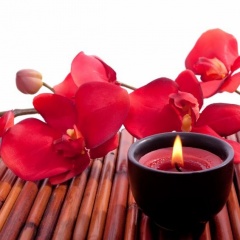 Massage Therapy & Spa
