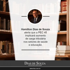 Hamilton Dias de Souza