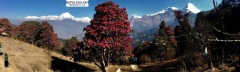 Nepal Kailash Trekking