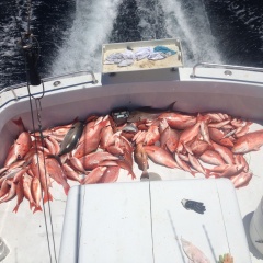 Total Package Fishing Charters