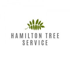 Tree Service Hamilton