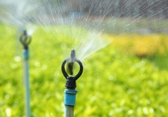 Charlotte Irrigation Systems