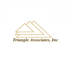 Triangle Associates Inc
