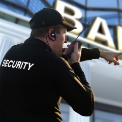 Frontier Security & Consulting