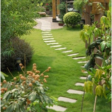 The Finishing Touch Landscaping