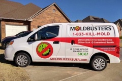 Mold Busters Dallas/Fort Worth