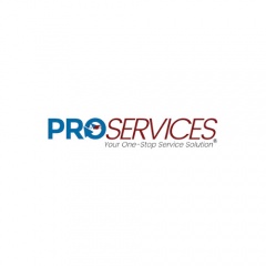 Pro Services, LLC