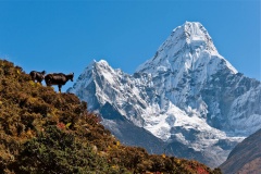 Nepal Trekking Plan