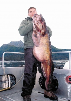 Alaska Halibut Fishing Charter