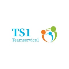 TS1 Insurance