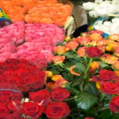 Winchester Florists