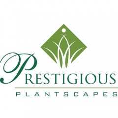 Prestigious Plantscapes