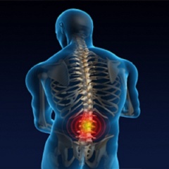Advanced Chiropractic Concepts