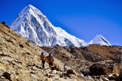 Adventure Great Himalaya Trekking (P) LTD
