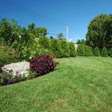 Gibbs Lawn & Landscape