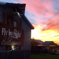 Fly By Night Cattle Company Steakhouse