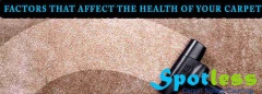 Carpet Cleaning Perth 