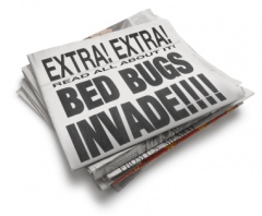Bed Bug Exterminator Mississauga