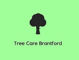 Tree Care Brantford