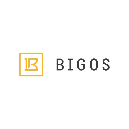 Bigos Management, Inc.